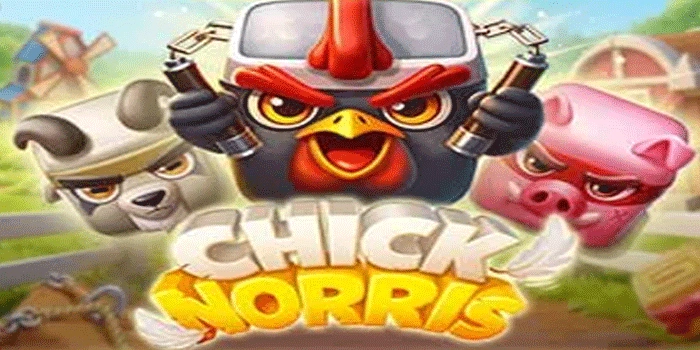 Chick Norris Slots Guide to Understanding RTP and Volatility